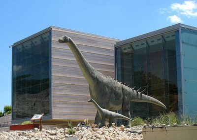 Museo Paleontológico
